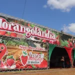Foto: Emater-DF