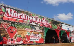 Foto: Emater-DF
